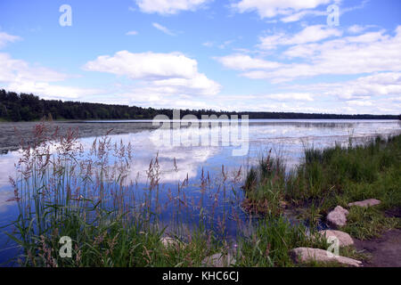 Itasca State Park Stock Photo