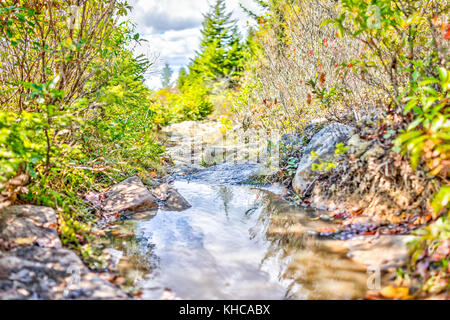 Large puddle on boggy bog area hiking trail in Dolly Sods, West Virginia between bushes and calm reflection closeup with rocks or stones Stock Photo