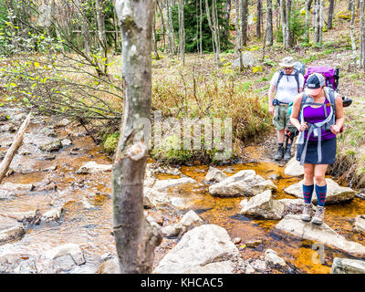 Dolly Sods, USA - October 15, 2017: Two hikers backpackers backcountry crossing small river, creek or stream during fall autumn on trail path using st Stock Photo
