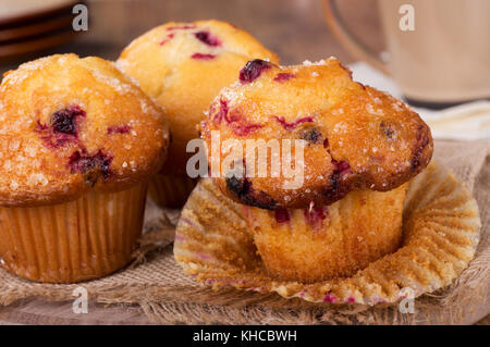 Closeup of a golden brown cranberry muffin on a paper cup Stock Photo