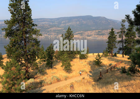 Walker on Knox Mountain natural park, Kelowna City, Okanagan region, British Columbia, Canada Stock Photo