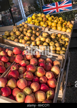 English Apples on sale at Farmers Market stall (L-R) Pinova / Russet / Opal apples illuminated in late autumn sunshine Stock Photo