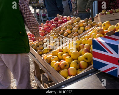 Buying UK browsing choosing British English produce apples at an outdoor British Farmers Market stall UK Stock Photo