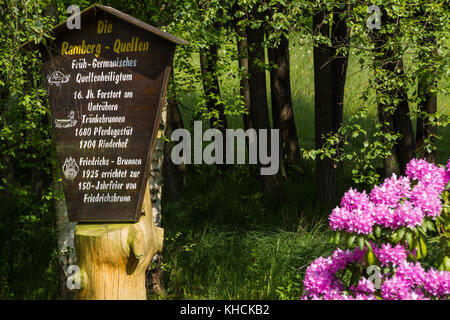 Friedrichs-brunnen in Friedrichsbrunn Stock Photo