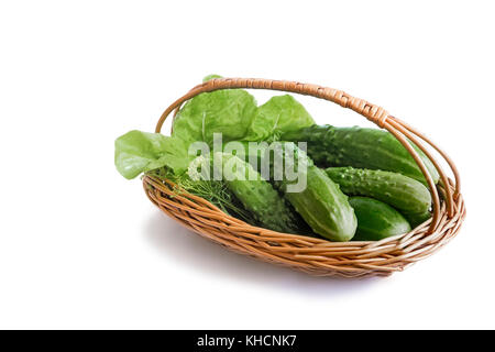 On a white background presents young green cucumbers in a wicker basket. Stock Photo