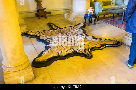 A Tiger skin rug on the floor inside Kedleston Hall, Kedleston, Derbyshire, England, UK Stock Photo