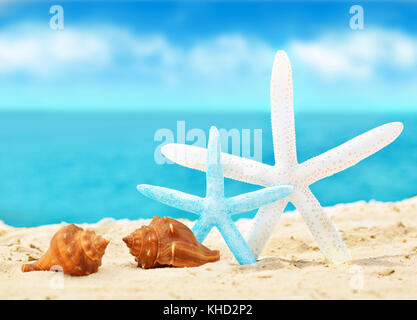 seashells and starfish on the summer beach with sand Stock Photo