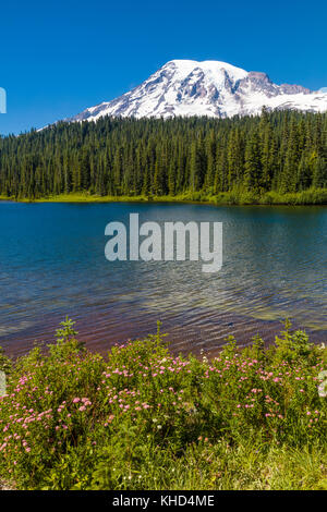 Reflection Lake in Mount Rainier National Park in Washington United States Stock Photo