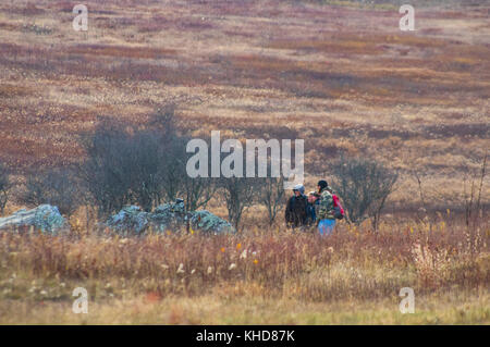 A group of four hikers taking a selfie with a dslr camera resting on a boulder in the Big Meadows area of Shenandoah National Park in Virginia. Stock Photo
