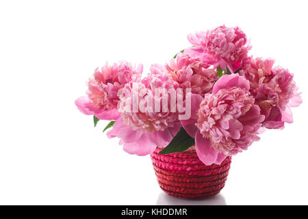 bouquet of pink peonies in a wicker vase on a white background Stock Photo