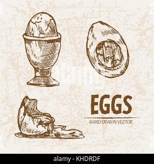 Digital vector detailed line art splitted, cooked egg in cup hand drawn retro illustration collection set. Thin artistic pencil outline. Vintage ink f Stock Vector