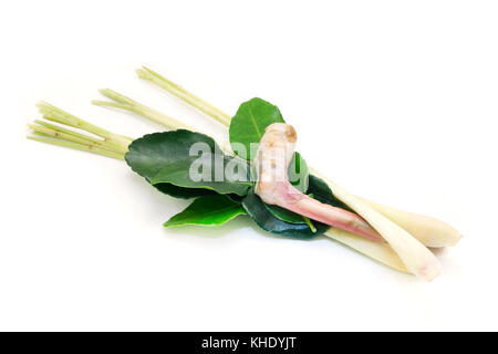 Thai galangal on a white backround Stock Photo