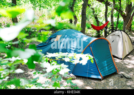 Two tourist tents in a shady forest on a background of a hammock and a bicycle. Camping Stock Photo