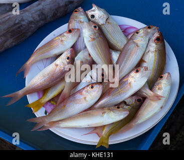 Asia, Philippines, Leyte, Ormoc City, The  fish market Stock Photo