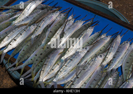 Asia, Philippines, Leyte, Ormoc City, The  fish market Stock Photo