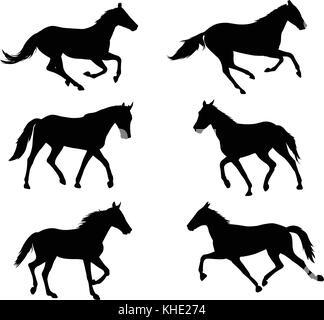 horses silhouettes collection - vector Stock Vector