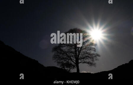 The sun shines over a tree at the Sycamore Gap on Hadrian's Wall in Northumberland. Stock Photo