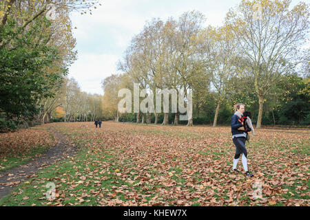 Putney London, UK. 16th Nov, 2017. Dog walkers enjoy the pleasant sunny with warmer temperatures in Bishops Park Putney, London Credit: amer ghazzal/Alamy Live News Stock Photo
