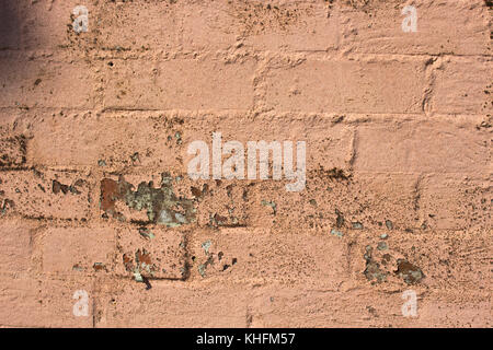 Lichen growing on an old pale pink painted weathered clay brick wall adds a touch of grunge, ideal for rustic backgrounds or wallpapers. Stock Photo