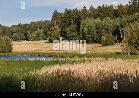 Landschaftsaufnahme Harz mit Weiher Stock Photo