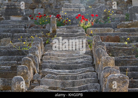 Steps and seats of the Roman amphitheater of Ephesus, Turkey Stock Photo