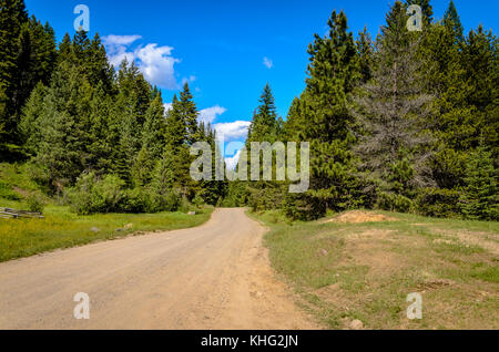 A journey into the Colville National Forest. Stock Photo