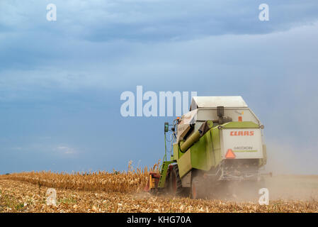 ZRENJANIN, SERBIA - SEPTEMBER 19, 2017: Claas combine harvester working on corn field. Lower maize crop yield expected this year in Vojvodina region d Stock Photo