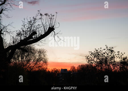 Clissold Park, Stoke Newington, London, UK. 17th Nov, 2017. UK Weather: Dramatic sunset over Clissold Park, Stoke Newington, London. Credit: carol moir/Alamy Live News Stock Photo