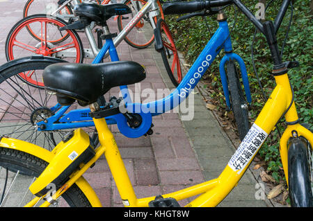 bluegogo bike for sale