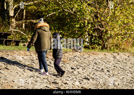 Dundee, Tayside, Scotland, UK. 19th November, 2017. UK weather: Sunny and cold in Dundee with temperatures plummeting to near freezing, 5°C. Dog walkers take their pet dogs for a walk at the Clatto Country Park in Dundee. Credits: Dundee Photographics/Alamy Live News Stock Photo