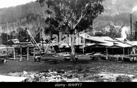 2 192539 Yard of the Standply Timber Company, Canungra, 1935 Stock Photo
