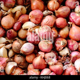 Close Up of Shallots or Red Spanish Onion Stock Image - Image of nutrition,  herb: 177447599