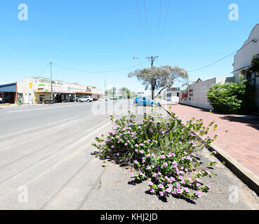 Main street of Surat, a small rural town in the Maranoa Region, Queensland, QLD, Australia Stock Photo