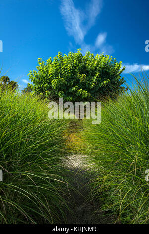 Loseley Park Gardens, Artington, Surrey, UK Stock Photo