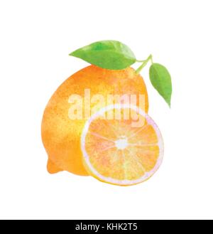 Watercolor lemon fruit with leafs on white Stock Vector