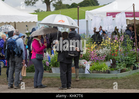 People look around exhibition displays & buy plants in rain - Plant Village, RHS Chatsworth House Flower Show showground,  Derbyshire, England, UK. Stock Photo