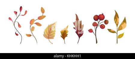 Vector autumn watercolor style hand drawn seasonal designer element set of orange yellow, red forest herbs, tree leaves. Greeting postcard, banner, de Stock Vector
