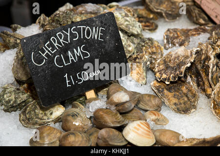 UK, London, Southwark, Borough Market, fish stall, Cherrystone clams on display Stock Photo