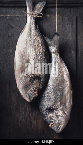 Two raw dorado fishes hanging on rope at  dark rustic wooden background Stock Photo