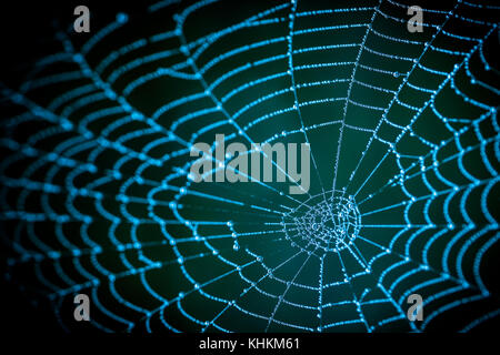 Detail of spooky cobweb on a dark night background. Blue texture from the spider web with dew drops. Stock Photo