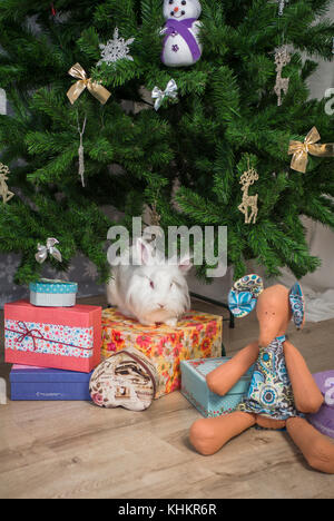 little rabbit sits under the Christmas tree Stock Photo - Alamy