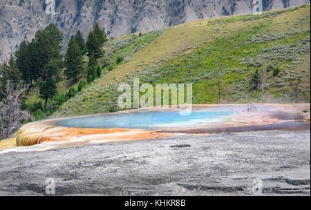 Blue pool geyser - Mound Spring in Yellowstone Park. Mammoth Hot Springs area. Closeup. Stock Photo