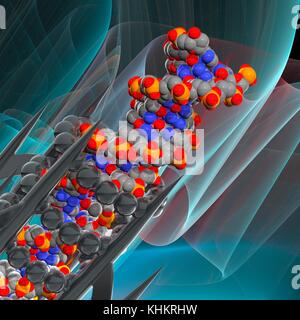 Conceptual illustration of a double stranded DNA (deoxyribonucleic acid) molecule with DNA generating or editing equipment. DNA is composed of two strands twisted into a double helix. Each strand consists of a sugar-phosphate backbone attached to nucleotide bases. There are four bases: adenine, cytosine, guanine and thymine. The bases are joined together by hydrogen bonds. DNA contains sections called genes that encode the body's genetic information. Stock Photo