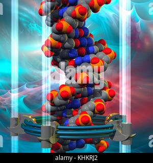 Conceptual illustration of a double stranded DNA (deoxyribonucleic acid) molecule with DNA generating or editing equipment. DNA is composed of two strands twisted into a double helix. Each strand consists of a sugar-phosphate backbone attached to nucleotide bases. There are four bases: adenine, cytosine, guanine and thymine. The bases are joined together by hydrogen bonds. DNA contains sections called genes that encode the body's genetic information. Stock Photo