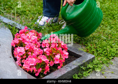 Woman is watering flowers on a grave at a cemetery Stock Photo