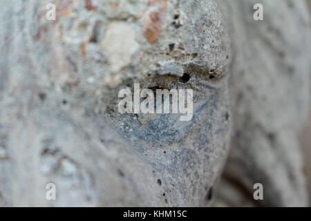 Close up of left eye of grey concrete garden lion,  garden ornament, looking like a dragon. Stock Photo