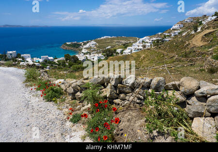 Trail down to the village Agios Stefanos, Mykonos island, Cyclades, Aegean, Greece Stock Photo