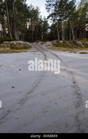 car tyre tracks on the beach sand in perspective Stock Photo