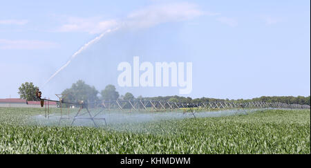 Irrigation system watering a field of corn Stock Photo