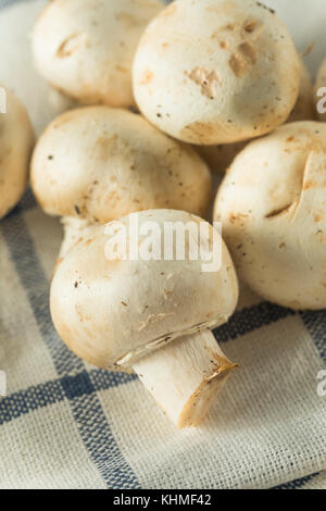 Raw White Organic Baby Button Mushrooms Ready to Cook Stock Photo